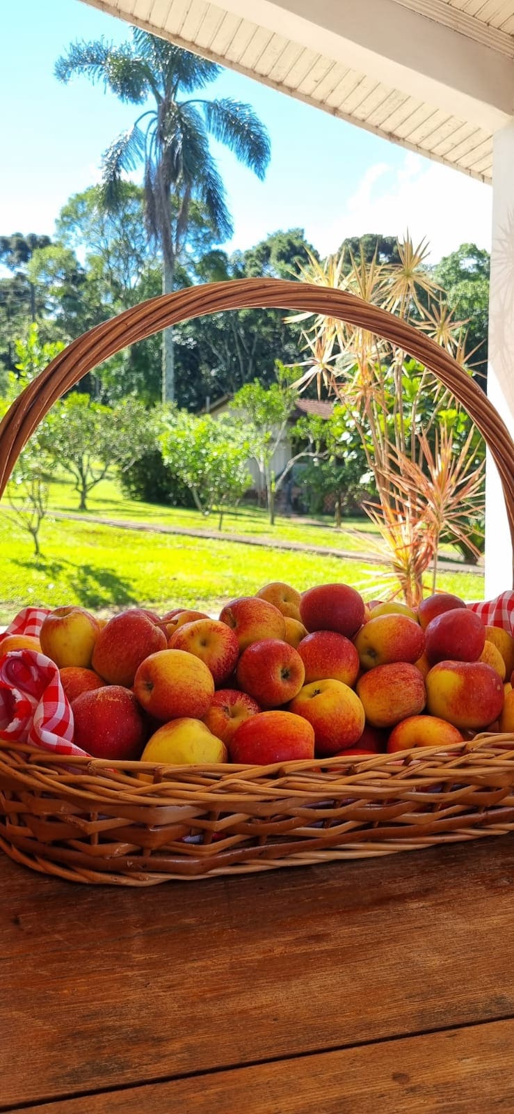 Café colonial e culinária da Pousada Senda do Sol