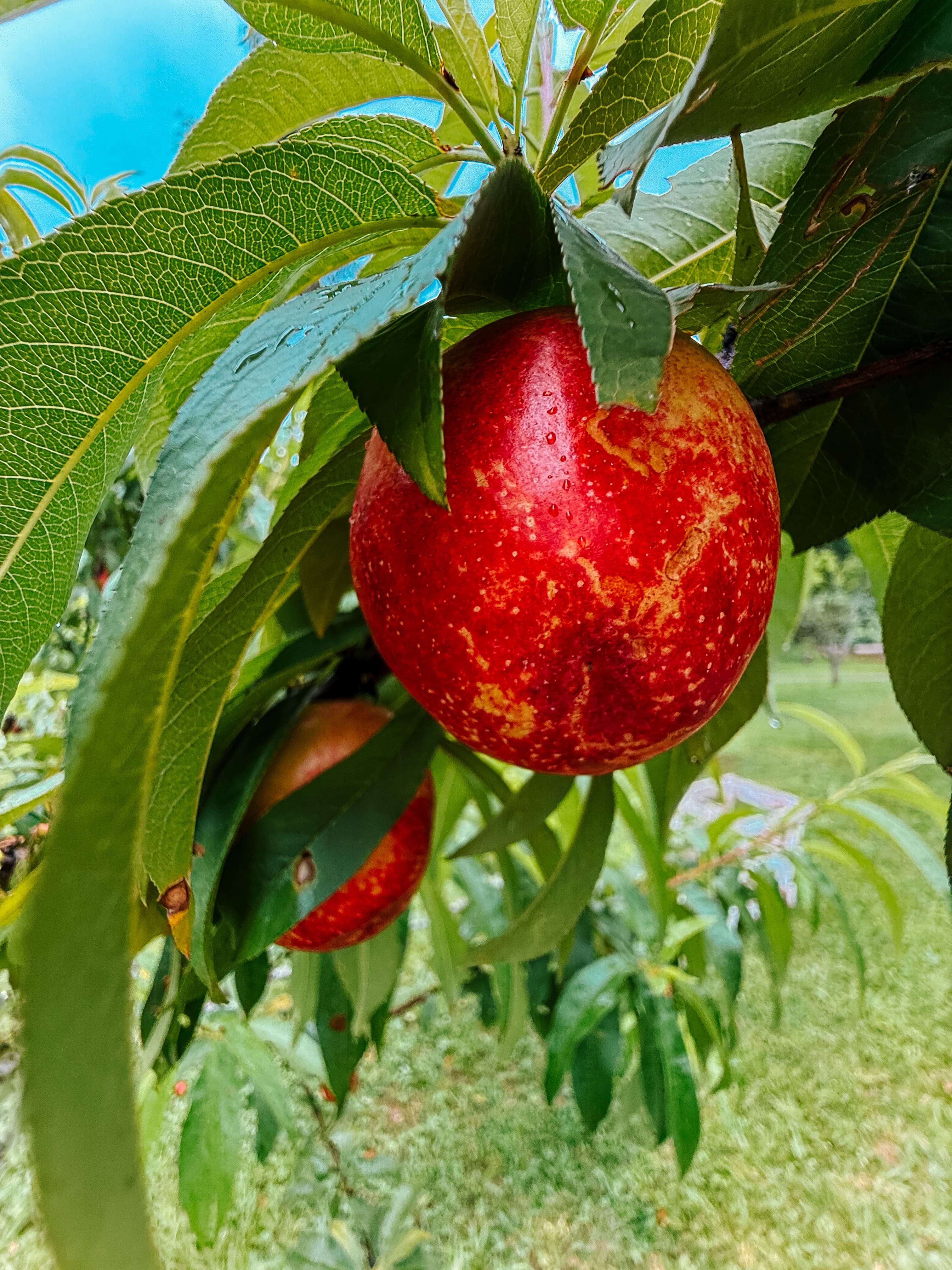 Chalé família na Pousada Senda do Sol